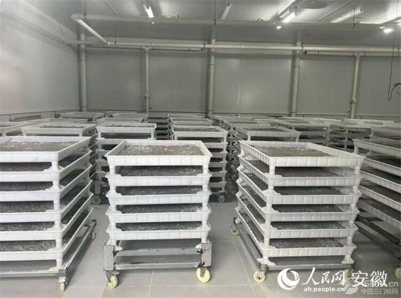 B(yng)ֳϲMQW(wng)ӛ wSz