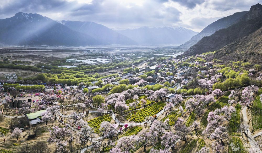 һo˙CƬoع·Qءһһ塱DƬԴ A