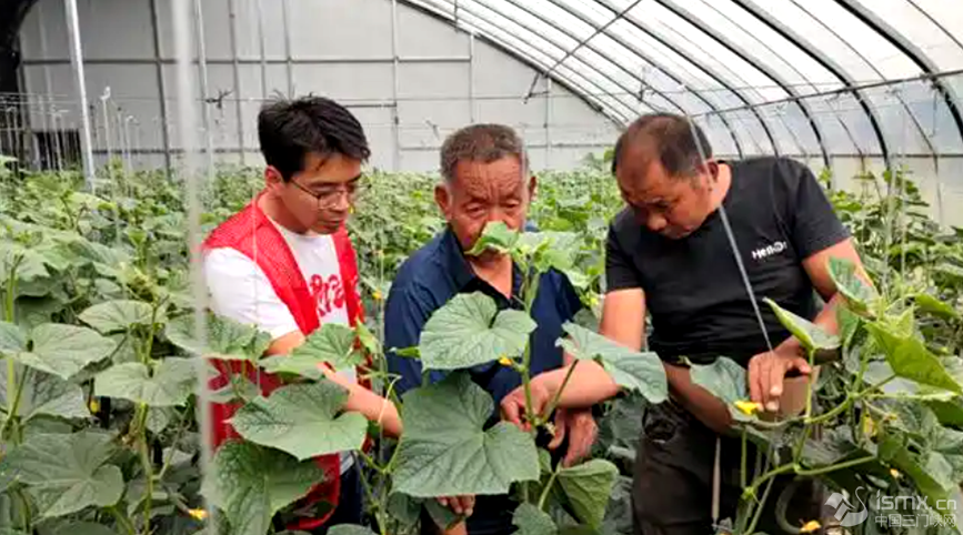 hF(xin)r(nng)I(y)Ƽʾ@߲˻ƼɆTcؓ(f)؟(z)˜ͨhƼֹD