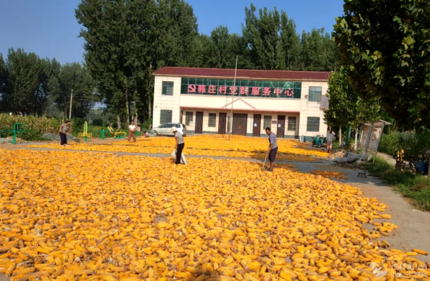 l(xing)зhl(xing)nfȺĻV(chng)Z_Ɣz